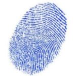 Be a detective